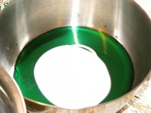 DSCN2299