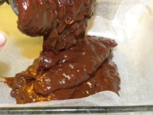 fudge 014