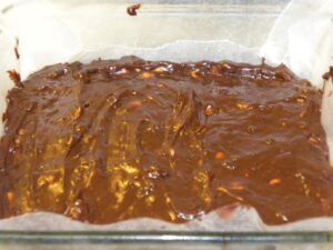 fudge 017