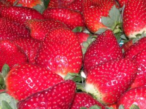 strawberries 003