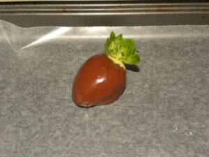 strawberries 015