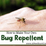 How to Make Your Own Bug Repellent