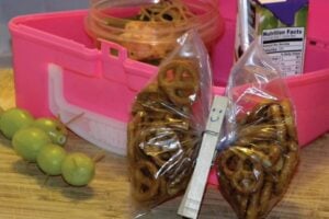 LunchBox Ideas: Book Worms & Other Creepy Crawlies