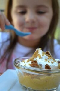 Easy Pumpkin Pudding