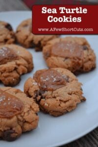Sea Turtle Cookies