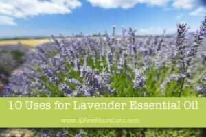 10 Uses for Lavender Essential Oil