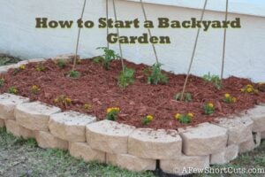 How to Start a Backyard Garden