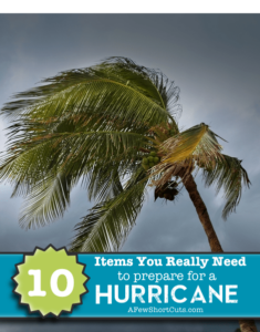 10 Items You Really Need To Prepare for a Hurricane