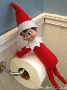 Elf on the Shelf: Just Hanging on the TP