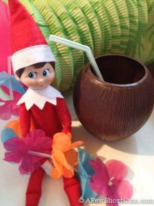 Elf on the Shelf: Aloha