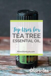 Top Uses for Tea Tree Essential Oil