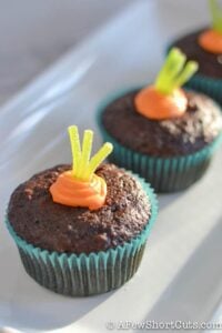 Simple Spring Garden Cupcakes