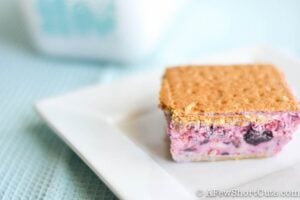 Berry Frozen Yogurt Sandwiches