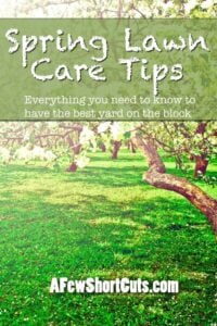 Spring Lawn Care Tips
