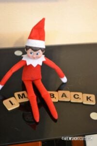 Elf on the Shelf Ideas: I’m Back