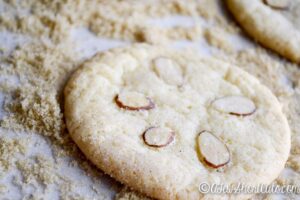 Simple Sand Dollar Sugar Cookies