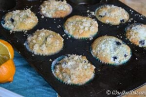 Gluten Free Lemon Blueberry Muffins Recipe