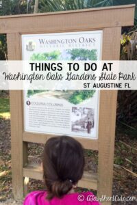 Things to Do at Washington Oaks State Gardens Park – St Augustine, FL