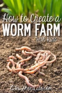 How to Create a Worm Farm with Kids