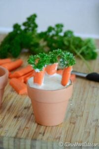 Healthy Carrot Garden Snacks