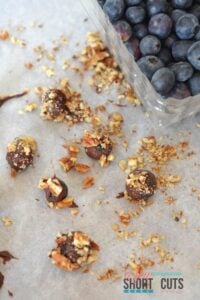 Frozen Chocolate & Pecan Covered Blueberries