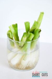 How to Re-Grow Green Onions