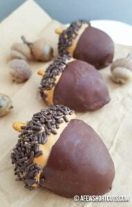 Simple Acorn Truffles