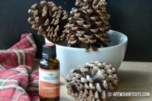 DIY Cinnamon Scented Pinecones