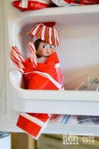 Elf On the Shelf Ideas: North Pole to Freezer