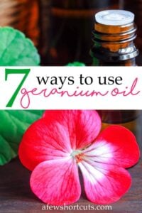 7 Ways to Use Geranium Essential Oil