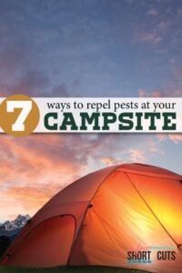 7 Ways to Repel Pests At Your Campsite