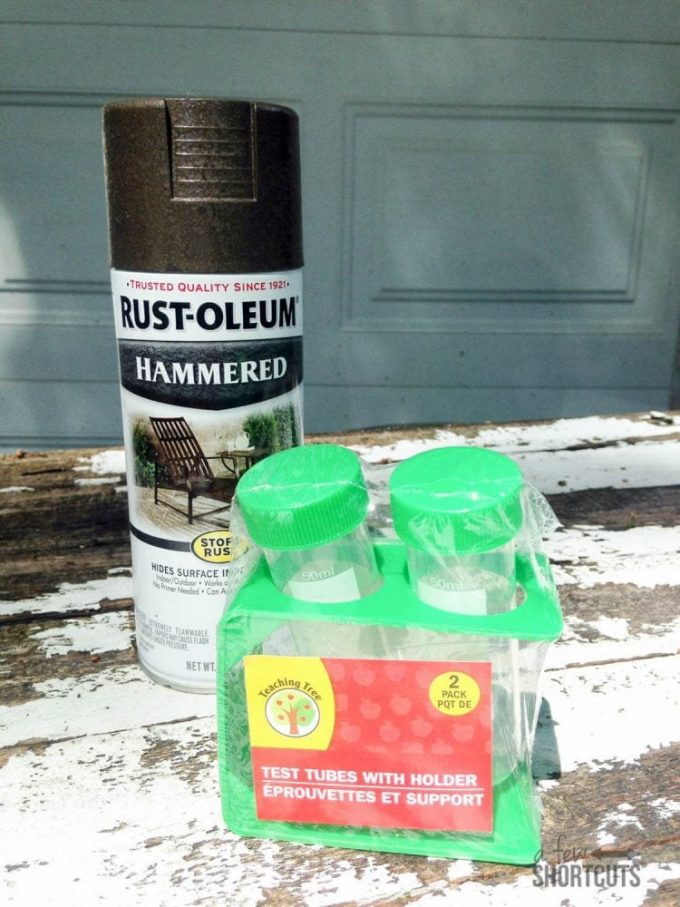 DIY Test Tube Vase A Few Shortcuts