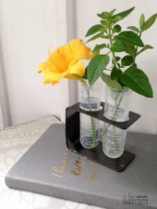 DIY Test Tube Vase