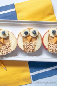 Owl Rice Cake Snacks – Lunchbox Fun