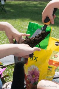 How to Make a Grass Caterpillar For Your Garden - A Few ...