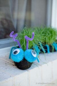 How to Make a Grass Caterpillar For Your Garden
