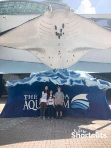 The Florida Aquarium Review – A Must See in Tampa