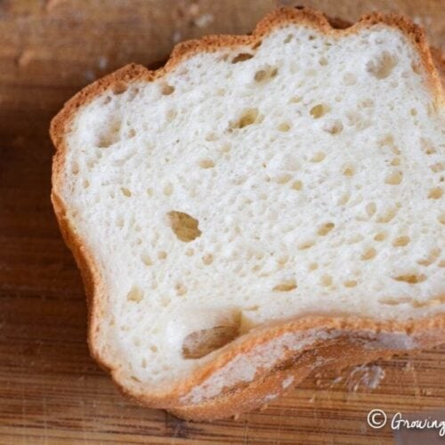 https://afewshortcuts.com/wp-content/uploads/2017/11/The-Best-Gluten-Free-Sandwich-Bread-Recipe-3_preview-500x500.jpeg