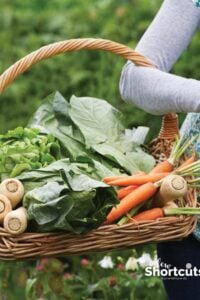 Make Money Gardening: 6 Ideas to Make Your Garden Profitable