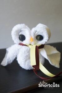 How to Make a Washcloth Owl – Fun Harry Potter Craft