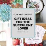 Think outside the box with these fun and unique gift ideas for the succulent lover in your life. So many great ideas that they are sure to love.