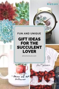 Think outside the box with these fun and unique gift ideas for the succulent lover in your life. So many great ideas that they are sure to love.