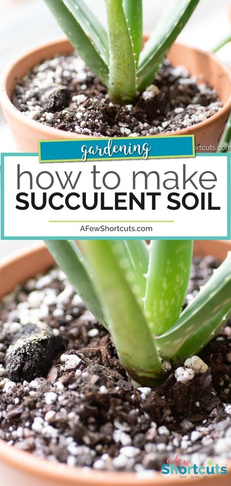 If you love succulents you need to learn how to make succulent soil ASAP! This simple mix will keep your succulent garden flourishing! #garden #gardening #succulents #howto #diy