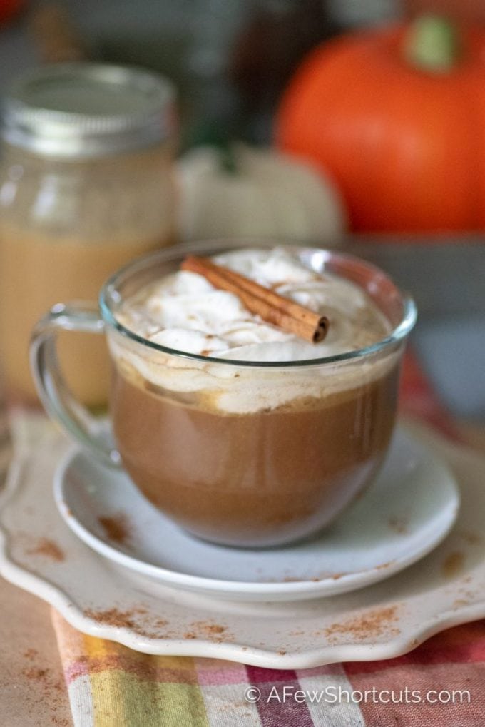 Pumpkin Spice Coffee Creamer, Dairy-Free - Veggie Fun Kitchen