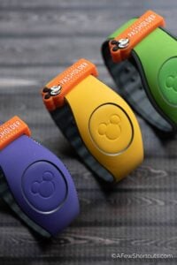 Disney Magic Bands: Everything You Need to Know!