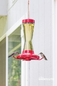 How to Make Hummingbird Nectar