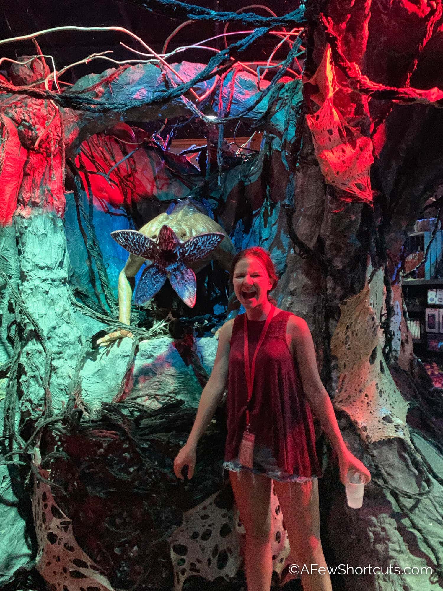 The Best Time of Year to Visit Universal Orlando A Few Shortcuts The Best Time of Year to Visit Universal Orlando A Few Shortcuts