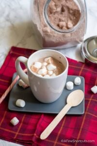 Vegan Hot Chocolate Mix Recipe