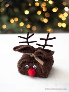DIY Washcloth Reindeer – Easy Christmas Craft