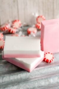 DIY Peppermint Soap – Great Gift Idea